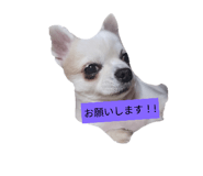 593583097