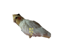 593583098