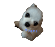 593583099