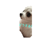 593583100