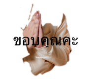 593610061