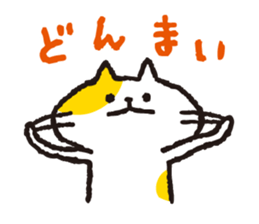 5936213