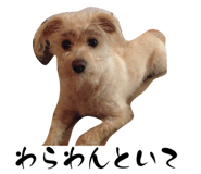 593642786