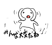 593650955