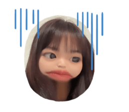 593667683