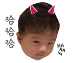 593685366