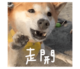 593685519