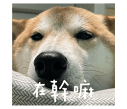 593685523