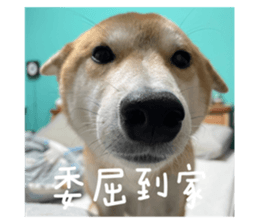 593685525