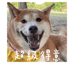 593685531