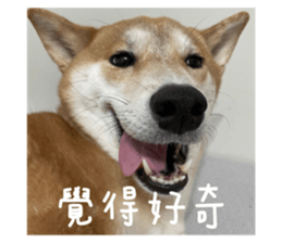 593685533