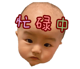 593688667