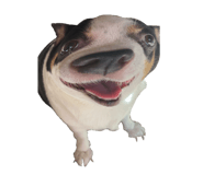 593697033