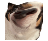 593697035