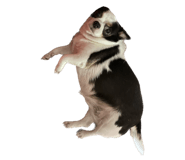 593697057