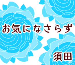 59372135