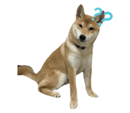 593740422