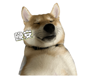 593740434