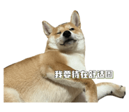 593740435