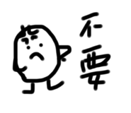 593755040