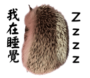 593755112