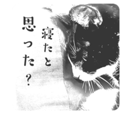 593770536