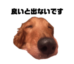 593787938