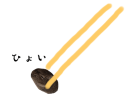 593800172