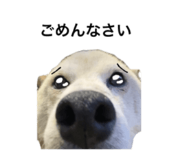 593834887