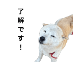 593834890
