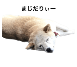 593834896