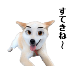 593834901