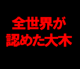 593854971