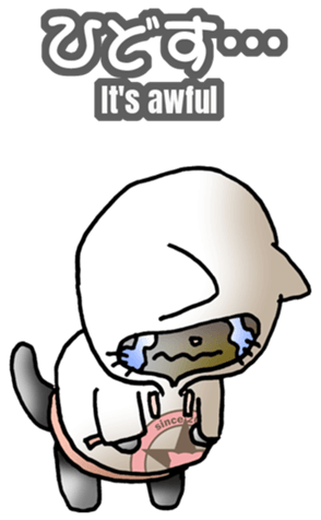 593882204