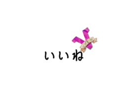 593910040