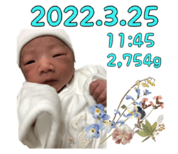 593913821