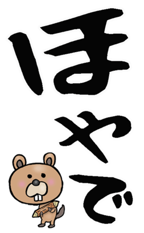 593936661