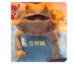 593944465