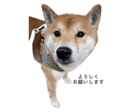 593970776