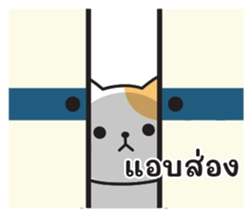 593978568