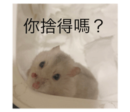 593986712