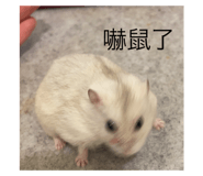 593986715