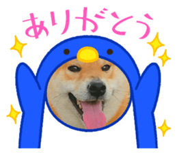 593999855