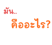 594030031