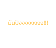 594030036