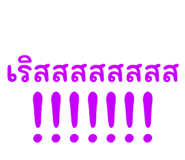 594030037