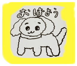 594031196