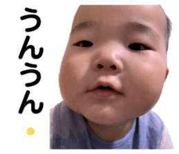594033347