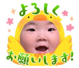 594033352