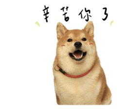 594067650